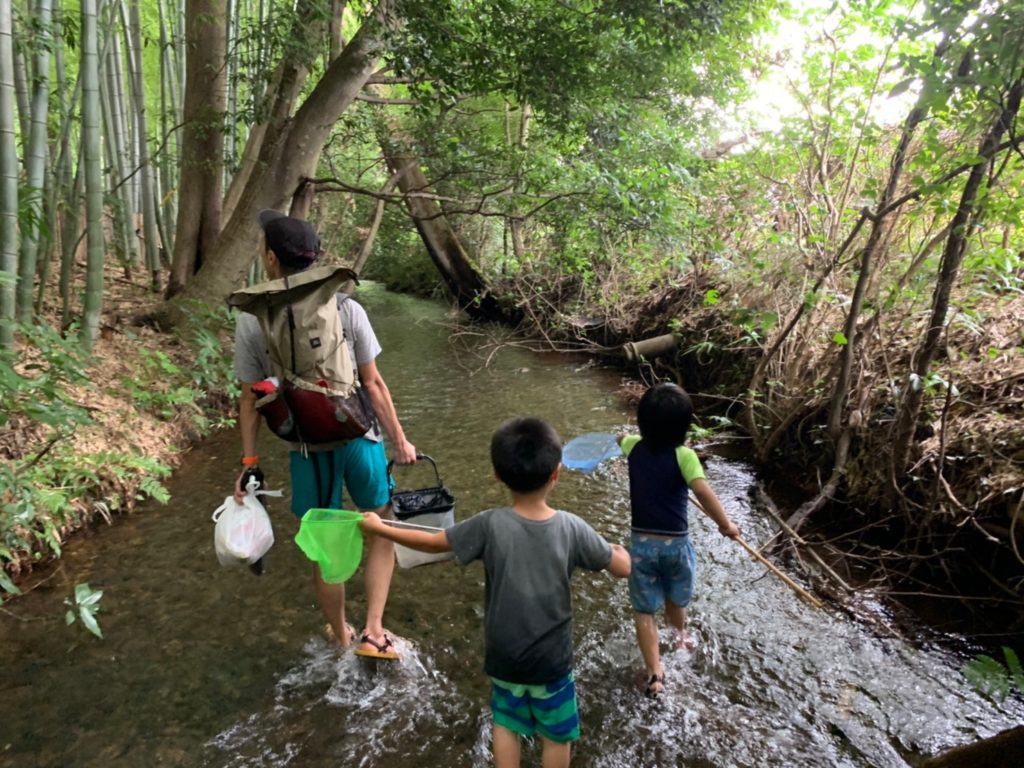 東京都自然保護地区巡り】子供が川に入って遊ぶ姿見たくないですか！？東京随一の湧き水「南沢緑地」｜都会で自然子育て