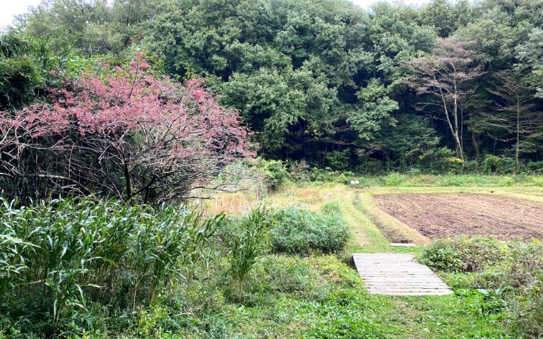 東京都内で最高の公園 六道山公園で自然とアスレチック遊び 都会で自然子育て